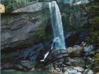 Charming Creek Water Fall