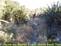 Snow on Burns Track