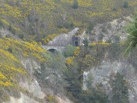 Railway tunnel shot from Mapoutahi Peninsula