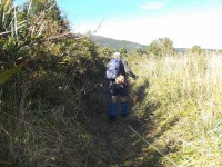 4 Clearing the top end of the Whare Lake Loop track. (Ken pic)
