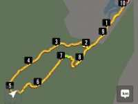 Nike app route map of Akatore Forest tramp