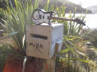 A quirky letter box