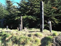 More Maori Graves