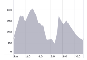 Strava elevation profile (exaggerated as always!)