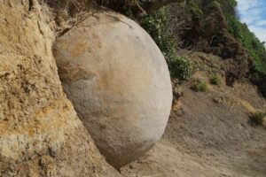 2 Feb Moeraki John new boulder emerging