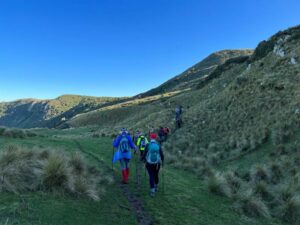Ascending around Sandy Mount through tussock and eventually native scrub, flora and flax. Caption and photo Pam