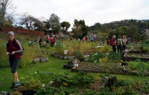 john gardiner nev community garden 1 june 2022 resized 800
