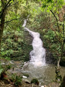 20 July Ross Creek trampers waterfall