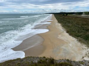 Secluded Chrystalls Beach with its golden sand (Photo & Caption Pam)