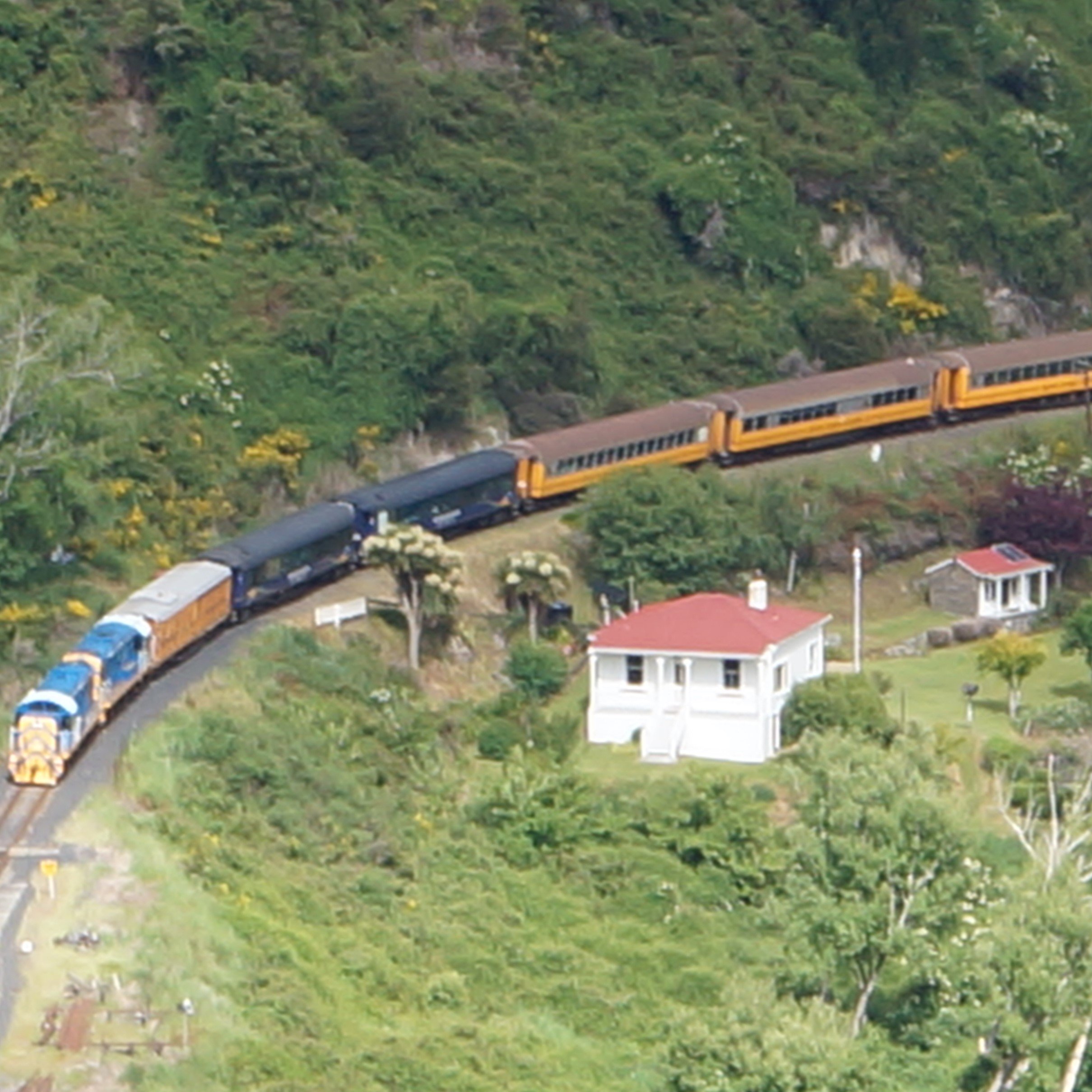 Taioma, Parera, Viaduct – Taieri Recreational Tramping Club