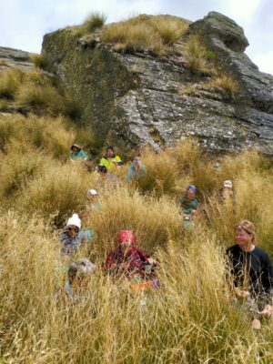 5. Lunch In The Lee, Sheltered By Tussock Phil