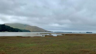 Moody View Of Hoopers Inlet Res800