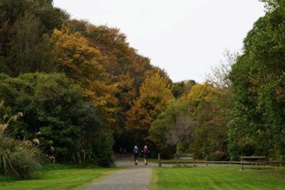 Beautiful Autumn Colours At Ellis Park John