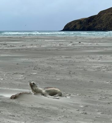 1 May Victory Beach 5) All Alone. Photo & Caption Pam