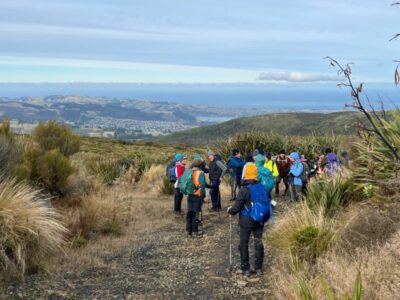 12 June Trampers Smithy Looking Back Over Dunedin From Swampy Summit Track. Photo & Caption Pam