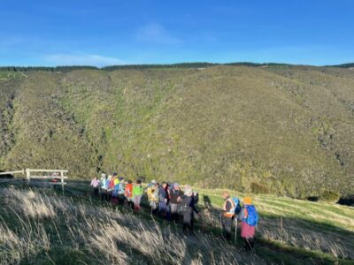 10 July Trampers Govt Track Out Of The Bush Into The Sunshine. Photo & Caption Pam