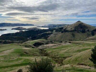 Harbour Cone Prominent On The Otago Peninsula. Caption And Photo Pam