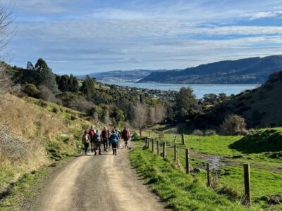 Heading Down Greenacres Track To Macandrew Bay Caption And Photo Pam