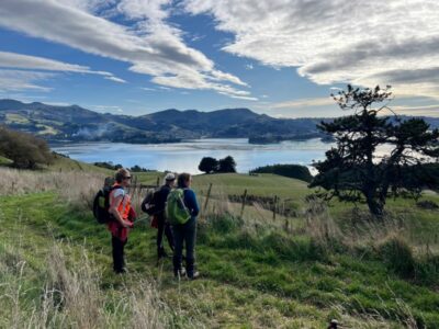 )view From Camp Track Over To Port Chalmers. Caption And Photo Pam