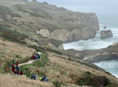 Zigzagging Down To Tunnel Beach Pam