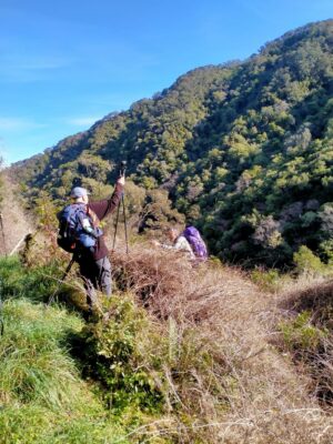 14 Aug Whare Flat Trampers Graham Is Offered His Sticks After Falling Out Of His Tree Caption & Photo Phil