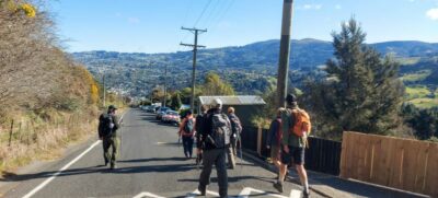 Going Down Signal Hill Road Caption And Photo Helen