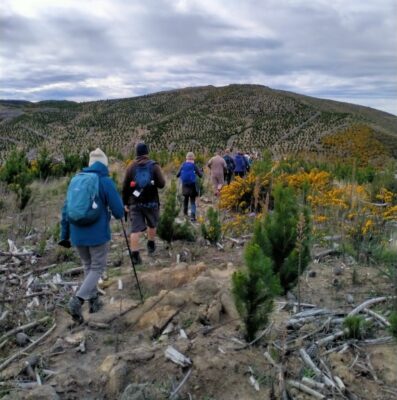 11 Sep Big Stone Road Going Off The Beaten Track To The Old Sod Cottage. Photo & Caption Phil