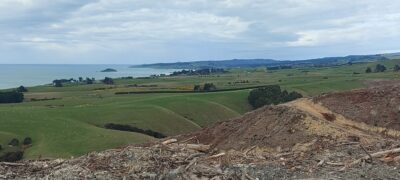 11 Sep Big Stone Road Views Towards Taieri Mouth. Photo & Caption Helen