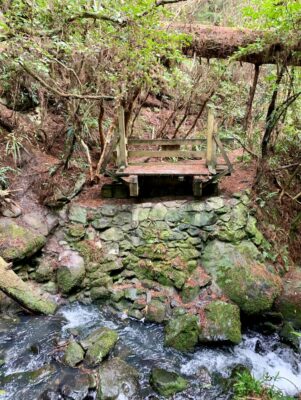 Collapsed Bridge From One Side ... Caption And Photo Marijke