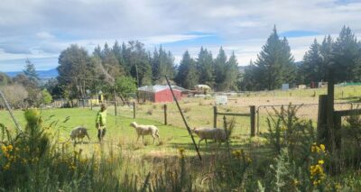 Lunch By An Idyllic Farm Caption And Photo Michael 2