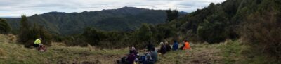 Panorma Our View At Morning Tea Caption And Photo John