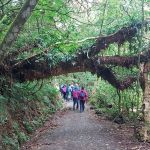 9 Oct Frasers Gully Hikers Square Photo