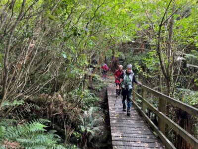 9 Oct Grahams Bush Trampers Bridges To Cross. Pam