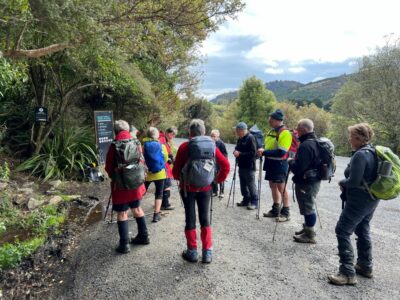 9 Oct Grahams Bush Trampers Out Of The Bush Onto Mt Cargill Road. Pam