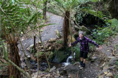 9 Oct Grahams Bush Trampers Pam Even You Can't Fly Over That Creek. John