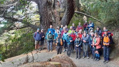 The Big Pine We Admired Part Way Up The Big Easy, With Lots Of Smiling People Standing In The Way. Caption And Photo Jane