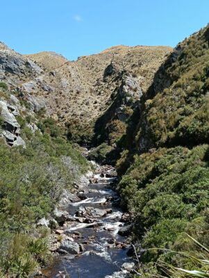 6 Nov Deep Creek Tumbling Cascades Of Deep Creek. Photo & Caption Phil