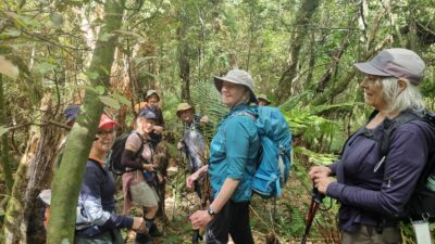 Beautiful In The Burns Park Reserve Bush Caption And Photo Chris