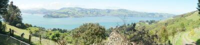 First View Of Otago Harbour. Caption And Photo John