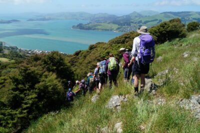 Heading Back Down Again, Homeward Bound. Caption And Photo John