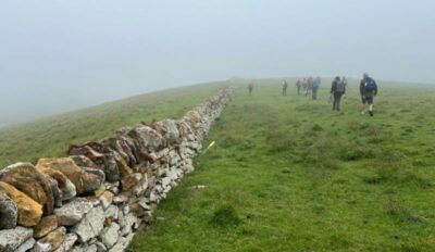 In The Mist Below Harbour Cone Pam