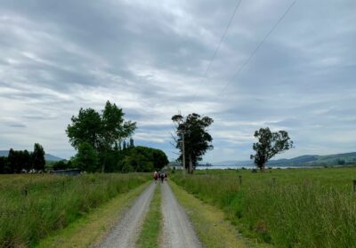 4 December Waihola Trampers On The Way Home. Photo & Caption Marijke