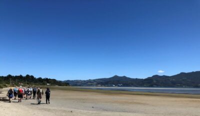 29 Jan Hikers Harwood Mt Cargill Shadowing The Cruise Ship. Photo & Caption Jenni