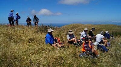 Sheltered Lunch Spot With A View John