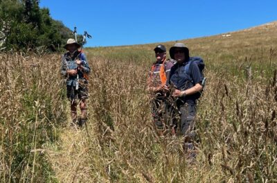 Waist High Grass On Way To Bobbys Head Pam