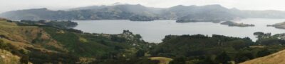 Otago Harbour Through The Mist John