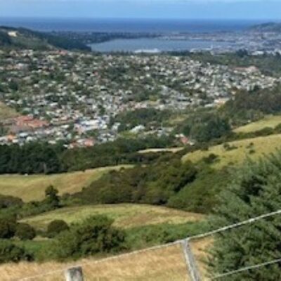 Harbour Basin From The End Of Campbells Road Caption And Photo Eleanore