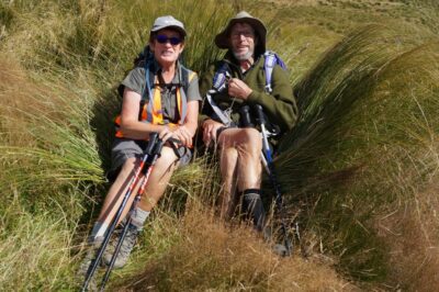 Large Tussocks Make Comfortable Seats. Caption And Photo John