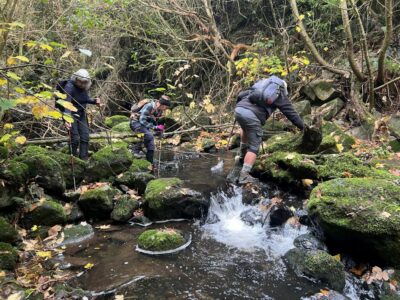 21 May Craiglowen Falls Trampers Careful Placement Of Feet Crossing Mcquilkans Creek. Photo & Caption Pam