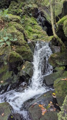 21 May Craiglowan Falls Trampers Craiglowan Falls. Photo & Caption Sarah